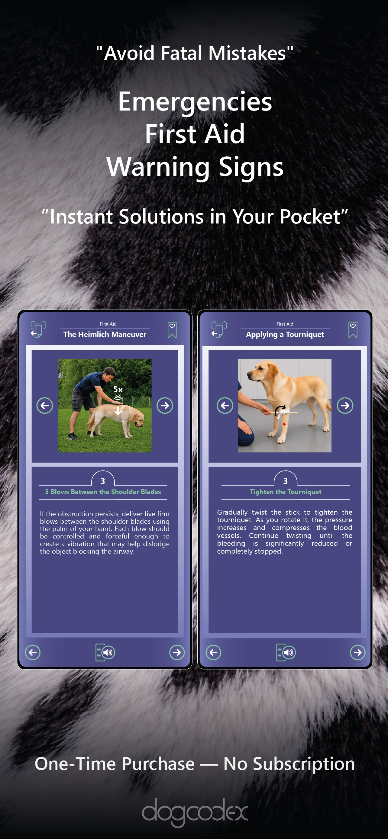 Master your dog's health on a daily basis. 7