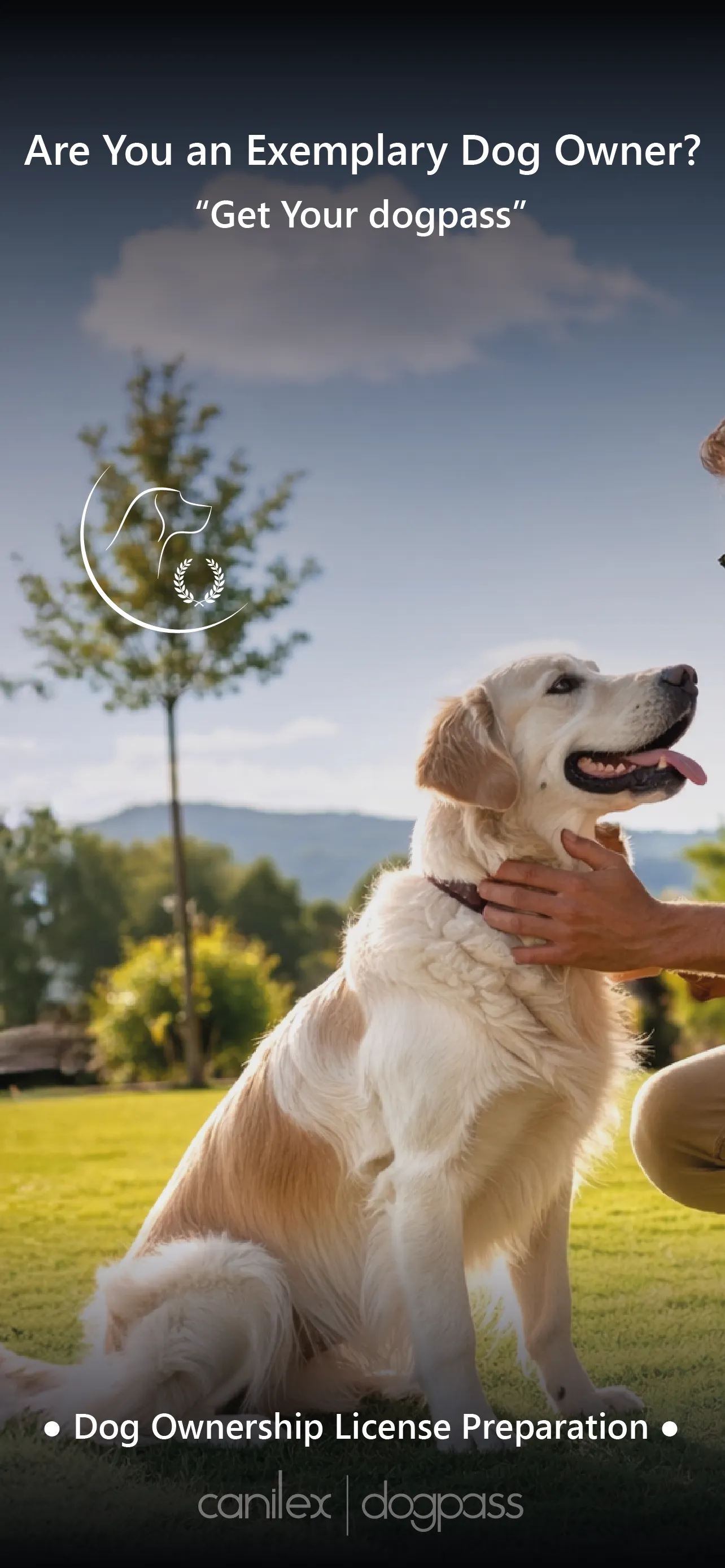 Many countries are considering a dog ownership licence! 1