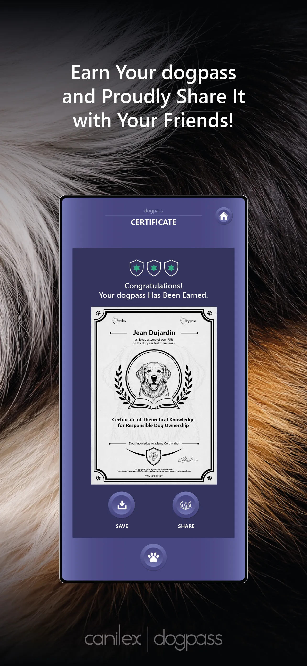 Many countries are considering a dog ownership licence! 6