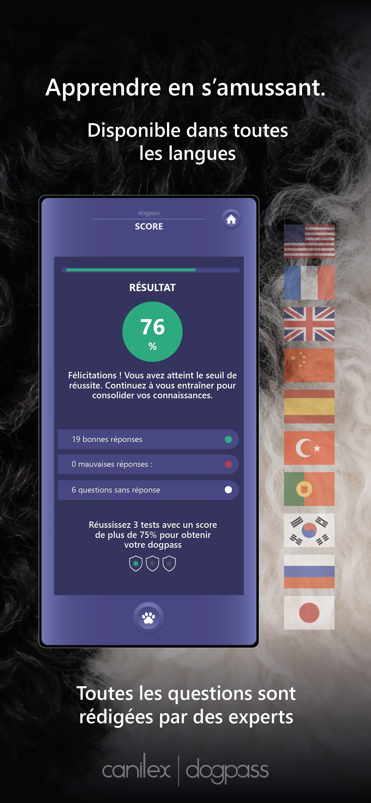 De nombreux pays envisagent le permis de détention ! 5