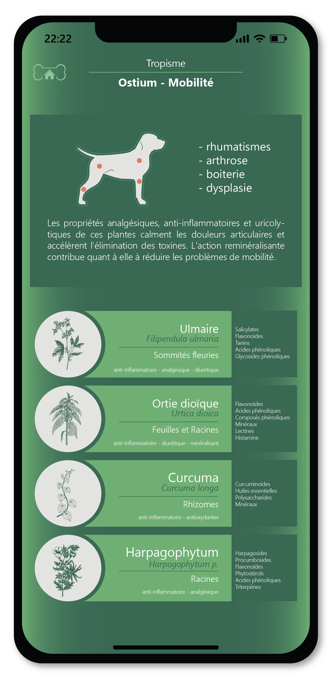 Adottare un approccio naturale ed equilibrato. 3