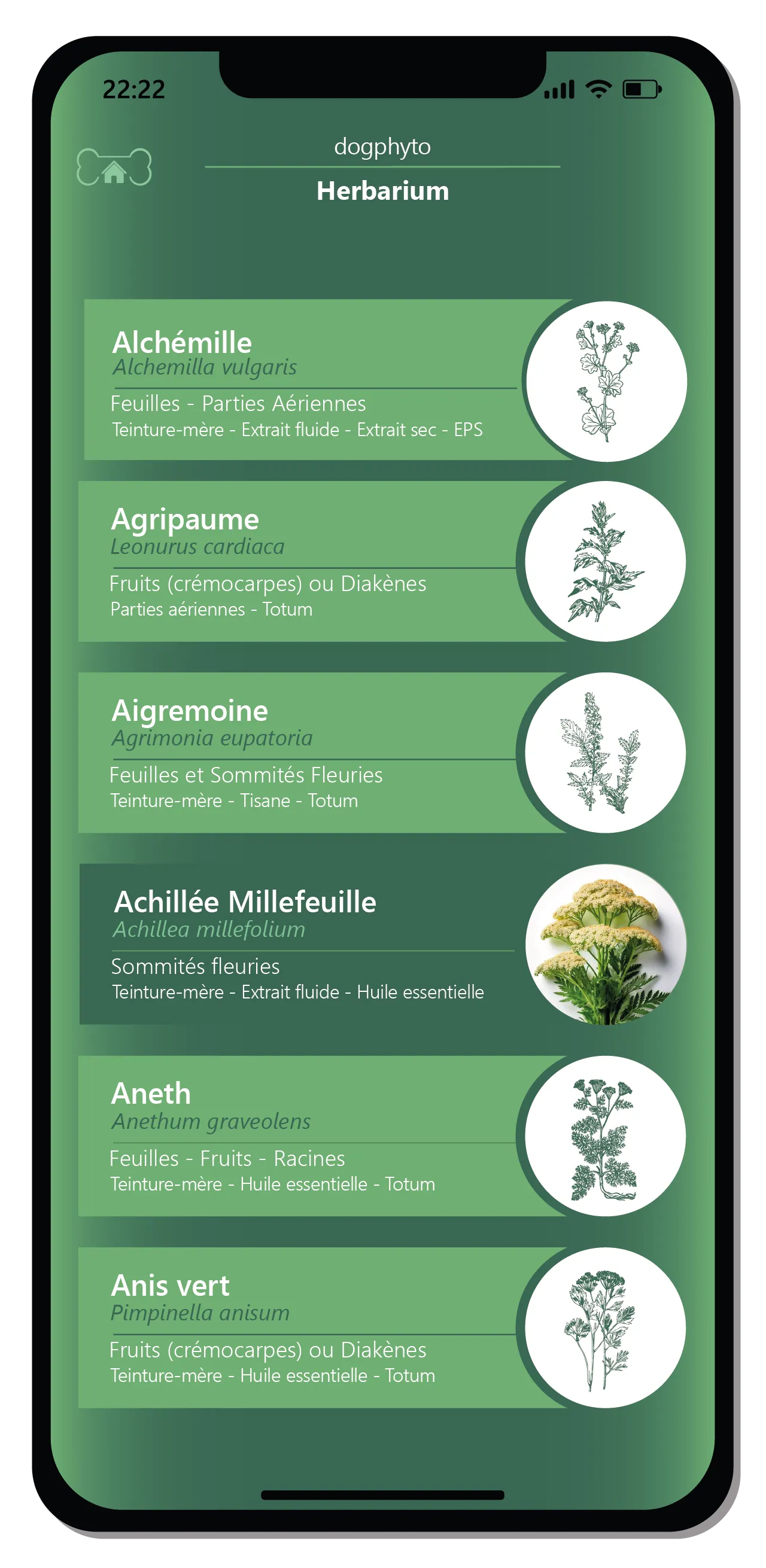 Adottare un approccio naturale ed equilibrato. 5