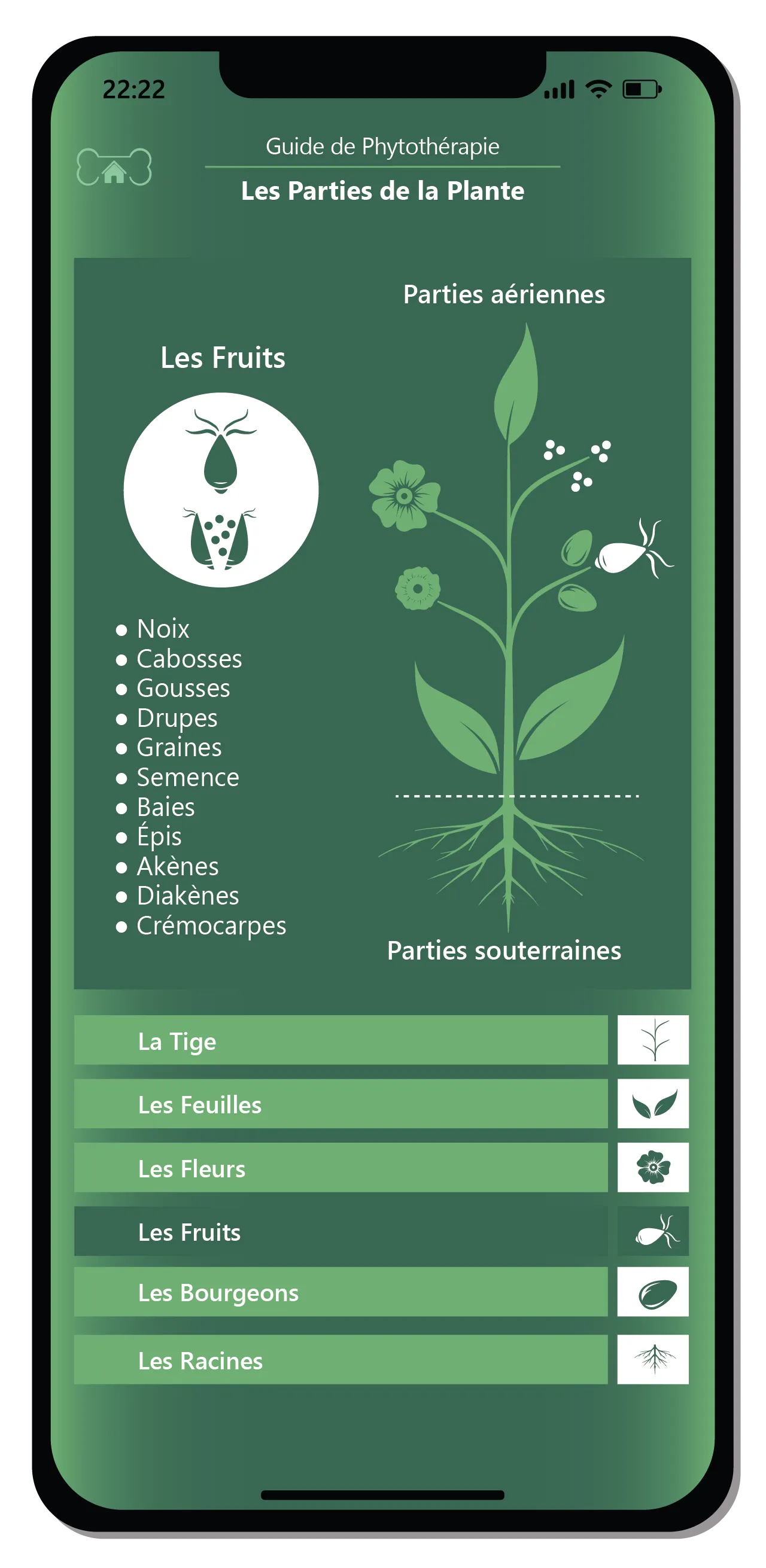 Adottare un approccio naturale ed equilibrato. 7